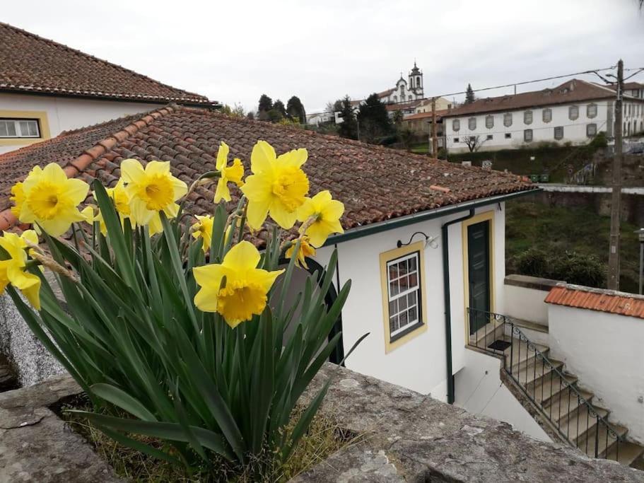 Casa Da Ponte, Coja Bed and Breakfast Coímbra Exterior foto